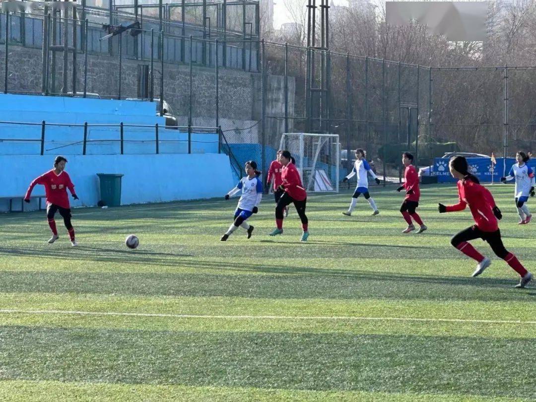 大利甲组联赛_2023年青岛市青少年足球联赛男、女甲组(U16-U17)完赛