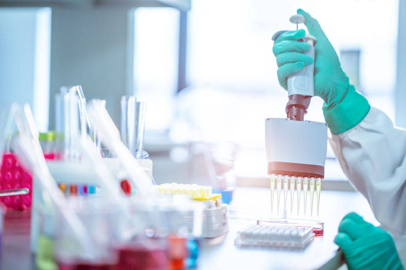 怎么注册皇冠信用网_新加坡HSA注册怎么注册申请怎么注册皇冠信用网?