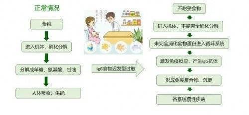 皇冠信用网最新地址_长沙食物不耐受检测机构中心地址(附2024最新办理机构地址汇总)