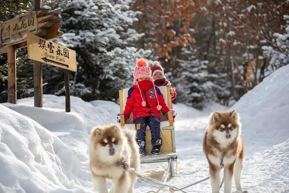 皇冠代理登1,2,3_【长白山温泉皇冠假日酒店】¥2299起抢3天2晚套餐皇冠代理登1,2,3,园景高级房1间2晚连住+次日2大1小自助早餐+聚龙火山温泉+3小时滑雪体验