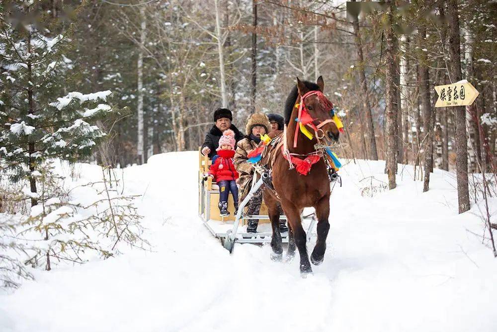 皇冠代理登1,2,3_【长白山温泉皇冠假日酒店】¥2299起抢3天2晚套餐皇冠代理登1,2,3,园景高级房1间2晚连住+次日2大1小自助早餐+聚龙火山温泉+3小时滑雪体验