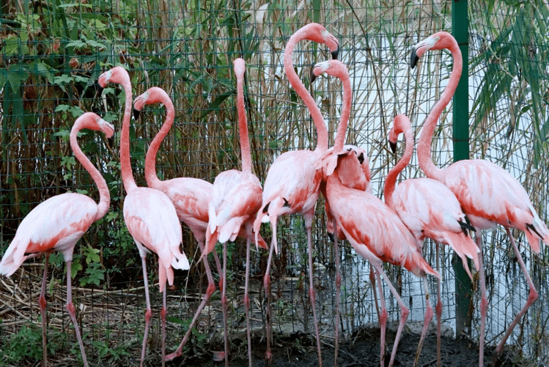 皇冠代理登1,2,3_【湖州皇冠假日酒店】¥999抢3天2晚套餐皇冠代理登1,2,3,含高级房2间夜+2大2小自助早餐/间夜+自助晚餐66折券1份+湿地公园萌宠玩赏等~