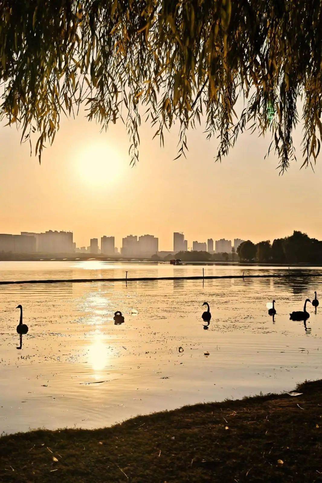 皇冠代理登1,2,3_【湖州皇冠假日酒店】¥999抢3天2晚套餐皇冠代理登1,2,3,含高级房2间夜+2大2小自助早餐/间夜+自助晚餐66折券1份+湿地公园萌宠玩赏等~