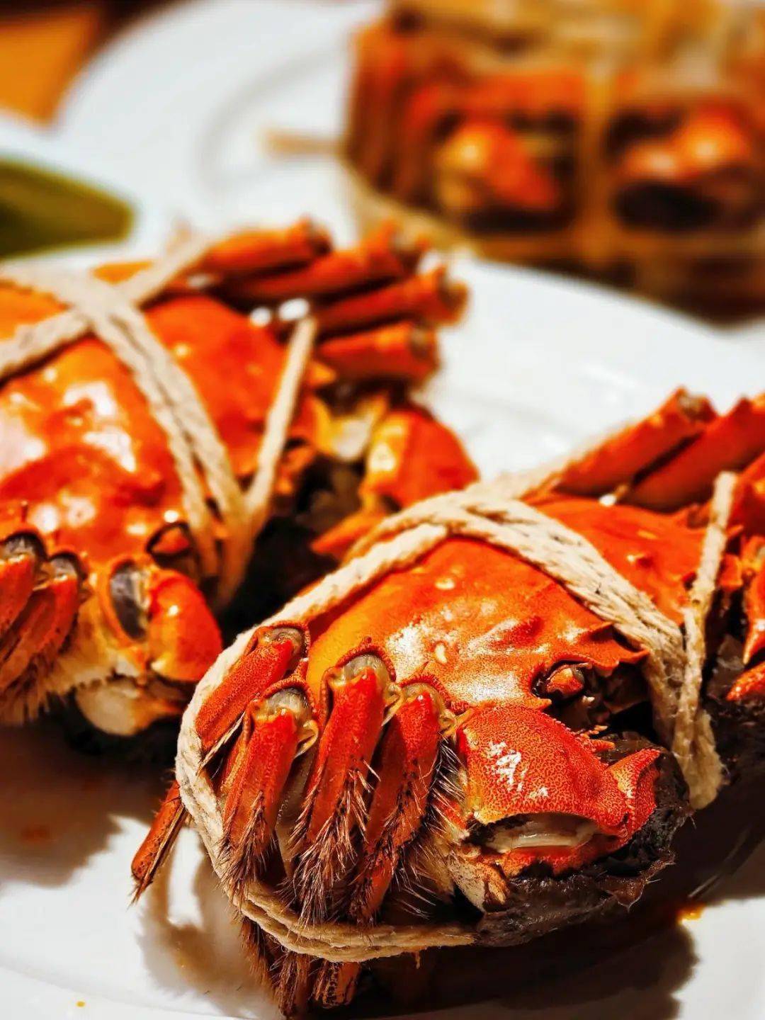 皇冠代理登1,2,3_【湖州皇冠假日酒店】¥999抢3天2晚套餐皇冠代理登1,2,3,含高级房2间夜+2大2小自助早餐/间夜+自助晚餐66折券1份+湿地公园萌宠玩赏等~