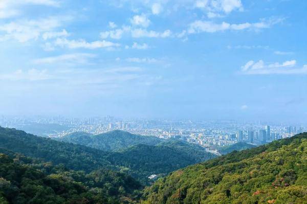 皇冠信用网登2_“无痛”登白云山皇冠信用网登2!摩星岭步步高观光扶梯2月5日免费开放