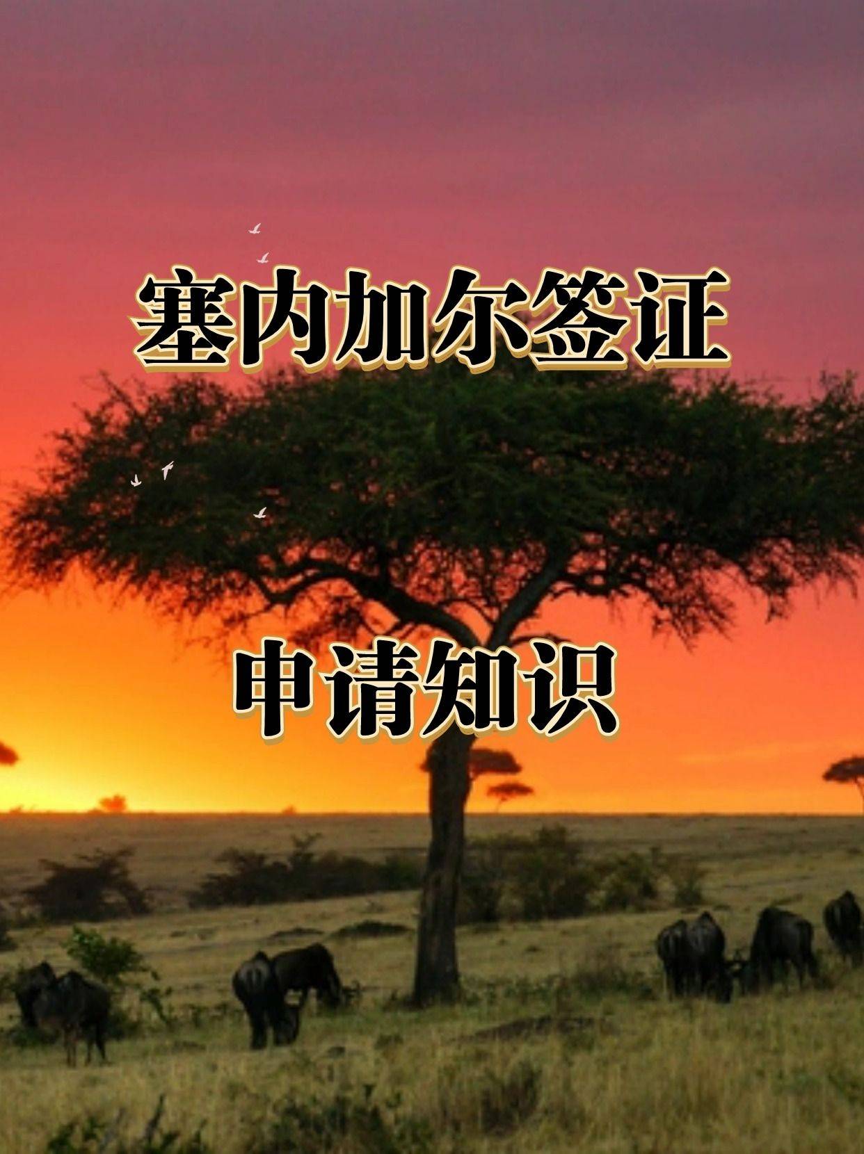 皇冠信用网怎么申请_怎么申请塞内加尔知识皇冠信用网怎么申请!