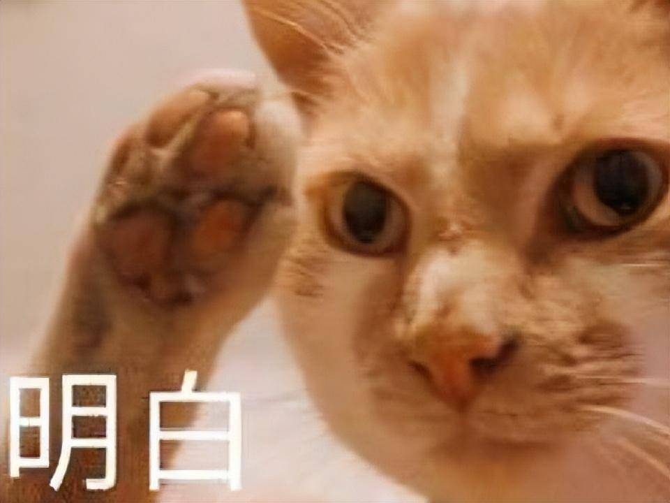 皇冠信用登2代理_网友爆料感谢腾讯代理?《全境封锁2》国服上线皇冠信用登2代理,逼育碧加更两年