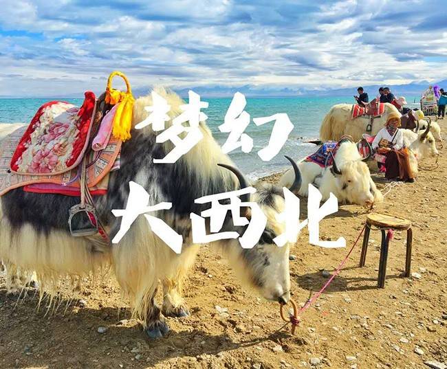 介绍个信用网址多少_去青甘旅游六天大概多少钱介绍个信用网址多少,西北旅游一个星期费用介绍