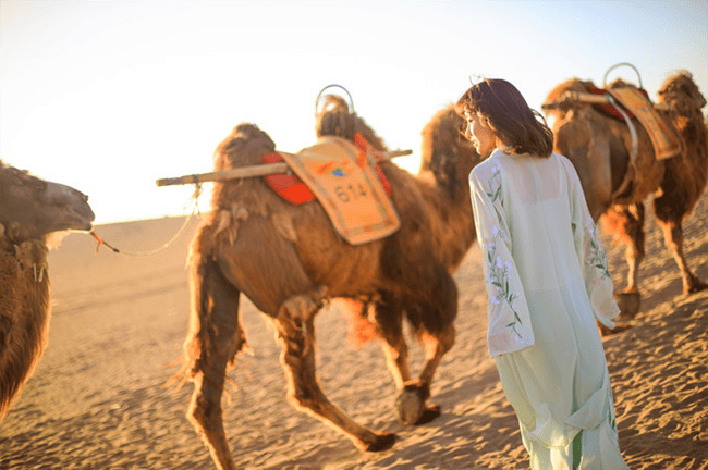 介绍个信用网址多少_去青甘旅游六天大概多少钱介绍个信用网址多少,西北旅游一个星期费用介绍