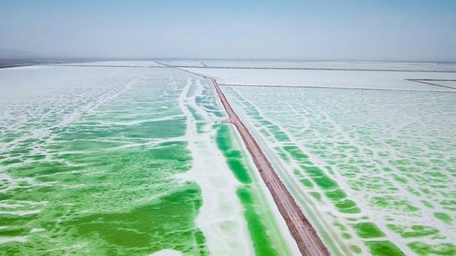 介绍个信用网址多少_去青甘旅游六天大概多少钱介绍个信用网址多少,西北旅游一个星期费用介绍