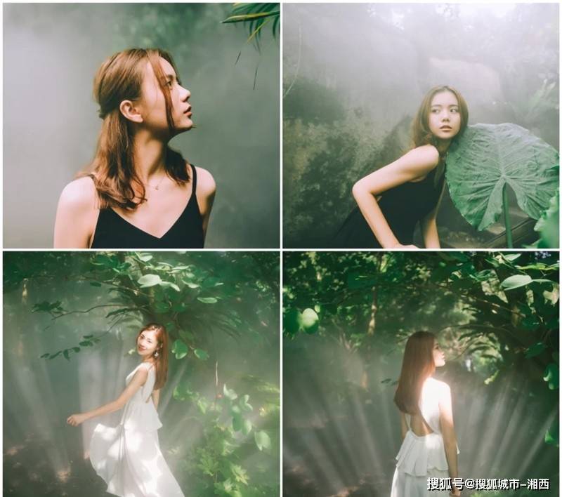 介绍个信用网址多少_两个人厦门五日游大概多少钱介绍个信用网址多少,人均花费介绍