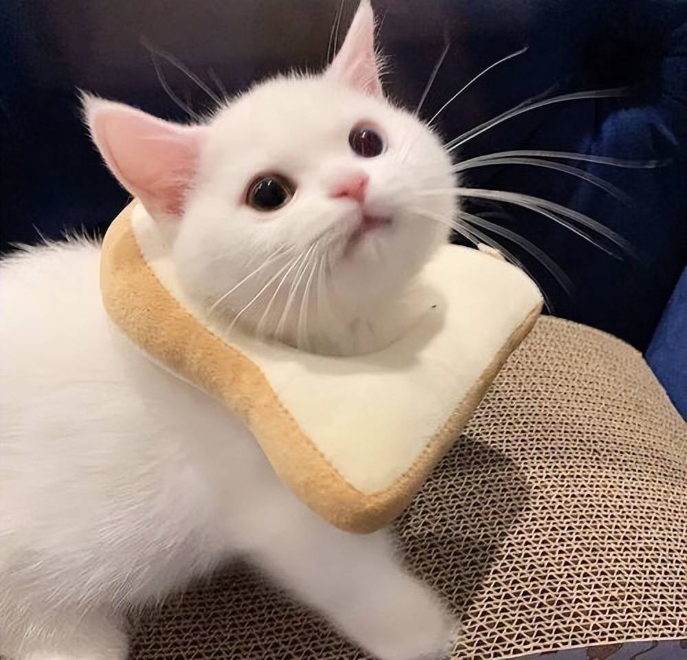 皇冠信用在线申请_平安悦享白金卡权益多吗皇冠信用在线申请?银行信用卡在线申请办理难不难?