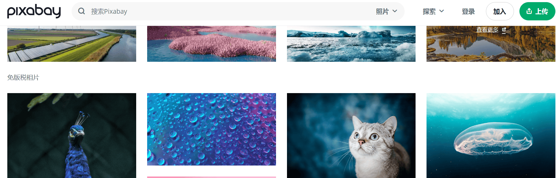 nba投注哪个网站好_短视频素材网站哪个网站好用nba投注哪个网站好?