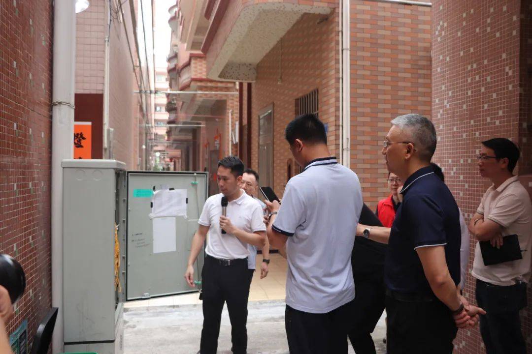 正网皇冠信用网_清爽~道滘正逐渐告别“蜘蛛网”正网皇冠信用网!