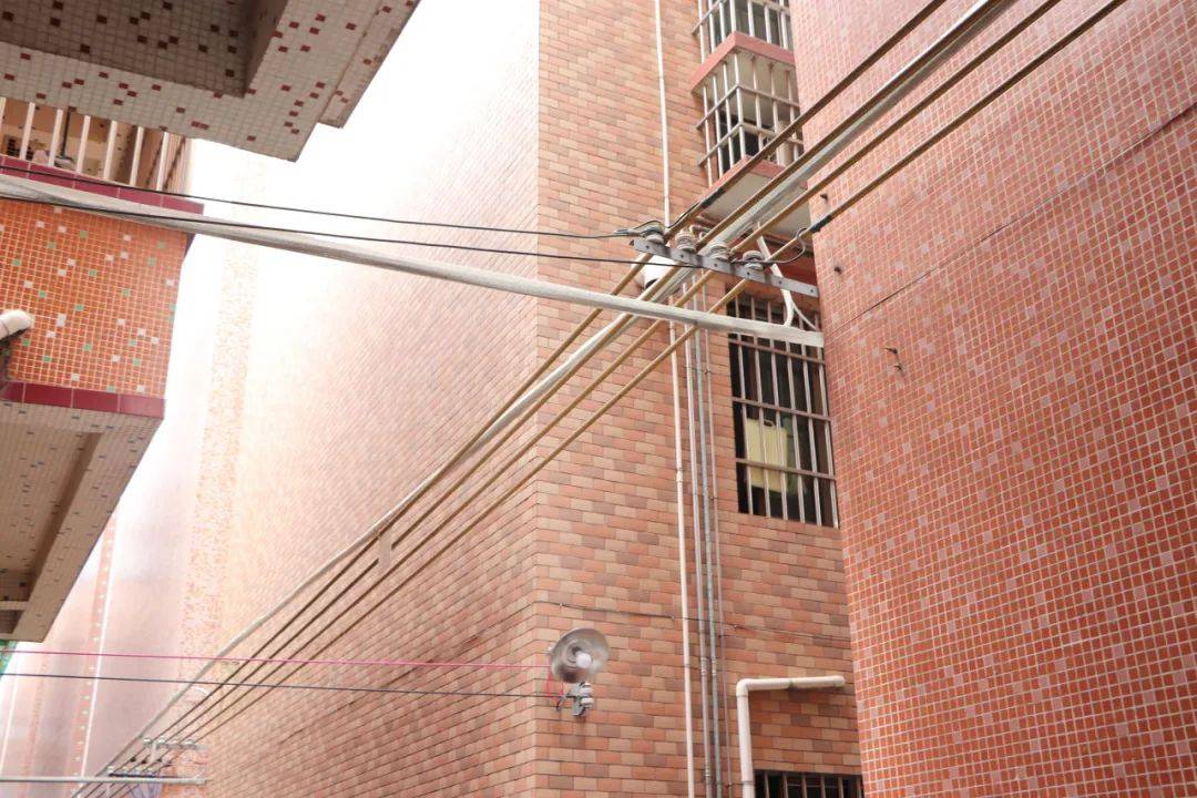 正网皇冠信用网_清爽~道滘正逐渐告别“蜘蛛网”正网皇冠信用网!