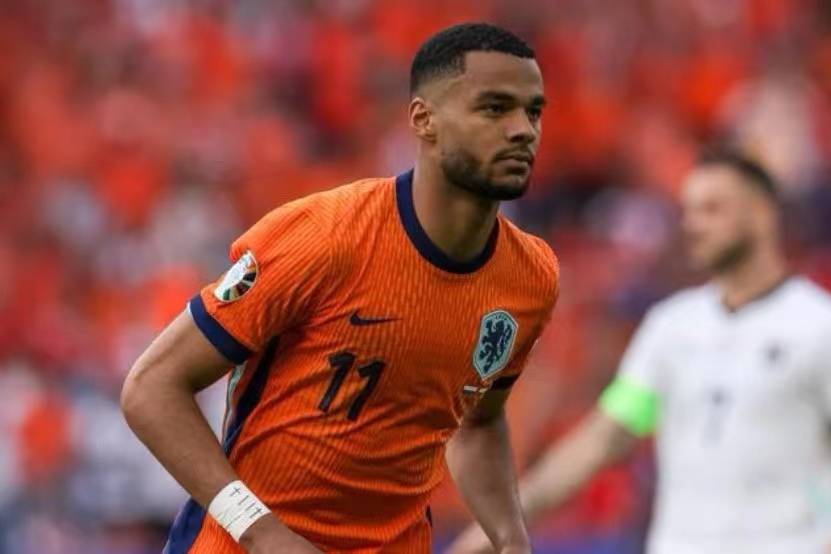 罗马尼亚vs荷兰_罗马尼亚VS荷兰前瞻:巴尔干玫瑰和橙色郁金香罗马尼亚vs荷兰,谁将绽放欧洲杯?