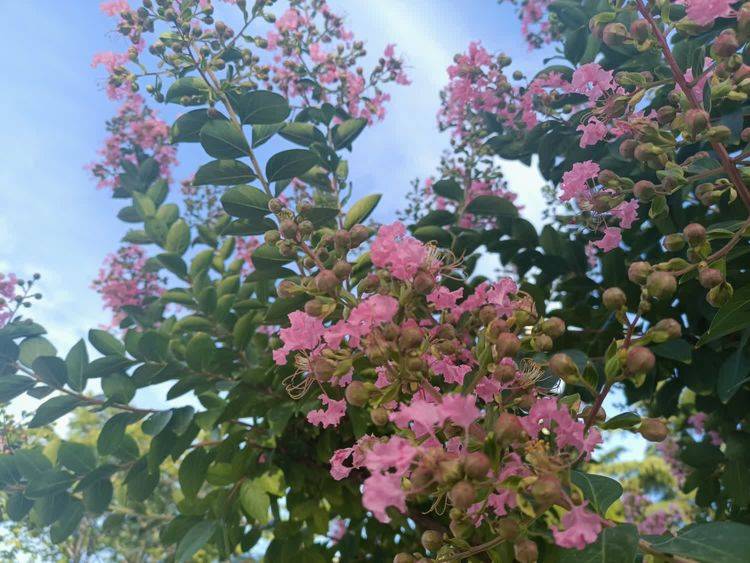 皇冠登一登二登三_登鹿溪天宝山(外三首)