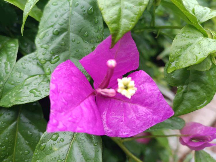 皇冠登一登二登三_登鹿溪天宝山(外三首)