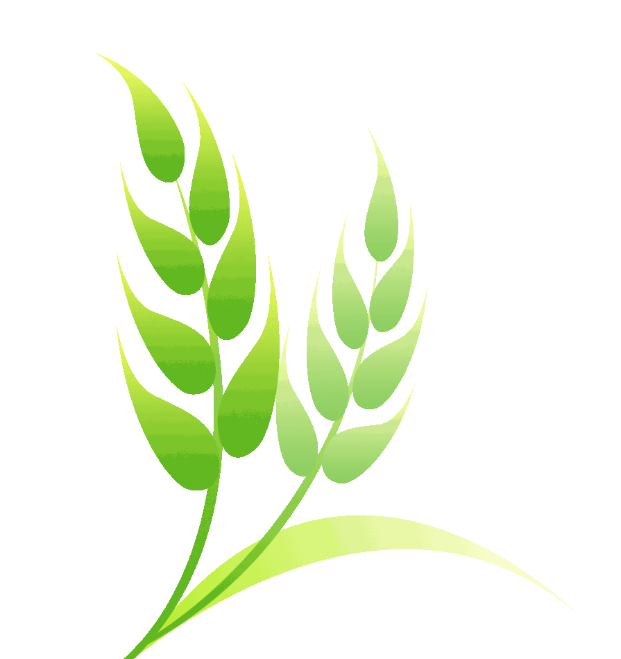 皇冠app安装_皇冠街道:安装起落杆 增强小区微治理