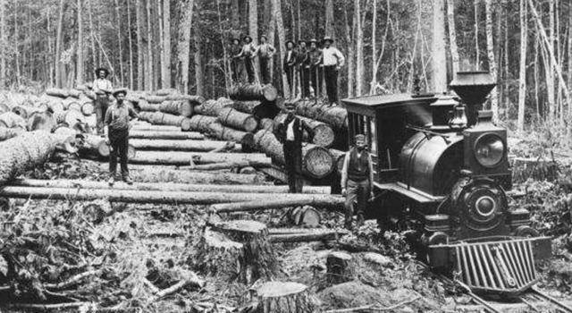 美国-德国_当年德国美国同时崛起美国-德国,为何西方只遏制德国,而不干涉美国呢?