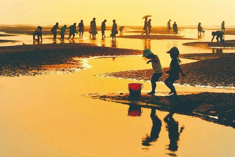 皇冠登一登二登三区别_假期第二天皇冠登一登二登三区别,启东又登央视了!