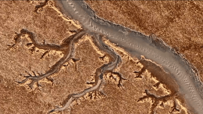 皇冠登一登二登三区别_假期第二天皇冠登一登二登三区别,启东又登央视了!