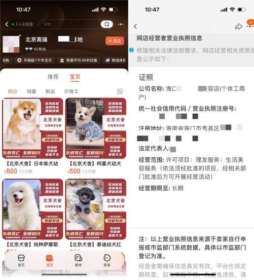 网上买球怎么买_网上买宠物网上买球怎么买,注意这些“坑”