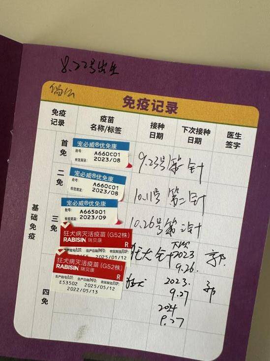 网上买球怎么买_网上买宠物网上买球怎么买,注意这些“坑”