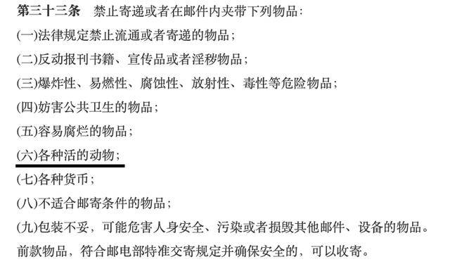 网上买球怎么买_网上买宠物网上买球怎么买,注意这些“坑”
