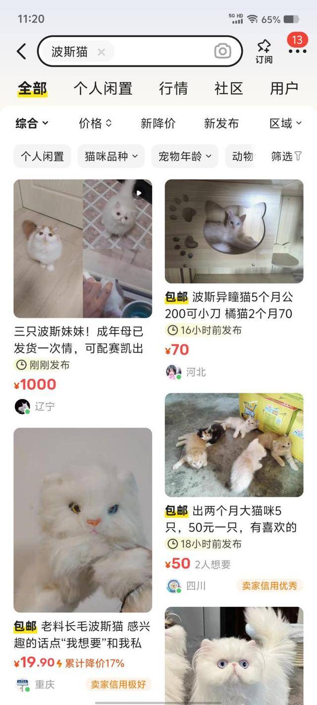 网上买球怎么买_网上买宠物网上买球怎么买,注意这些“坑”