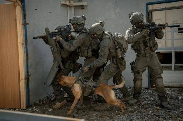 皇冠信用網登123出租_以军伞兵从天而降!深夜杀入敌军老巢皇冠信用網登123出租,一开门,差一点被反杀