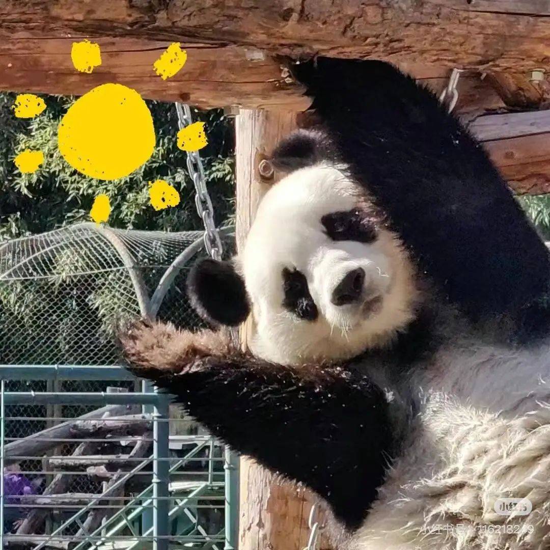 皇冠信用网结算日_断崖式暴跌皇冠信用网结算日!这波太猛!杭州人挺住了