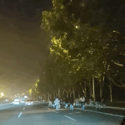 皇冠登1登2登3出租_郑州大学生“夜袭”开封 网友:“青春”在这一刻具象化