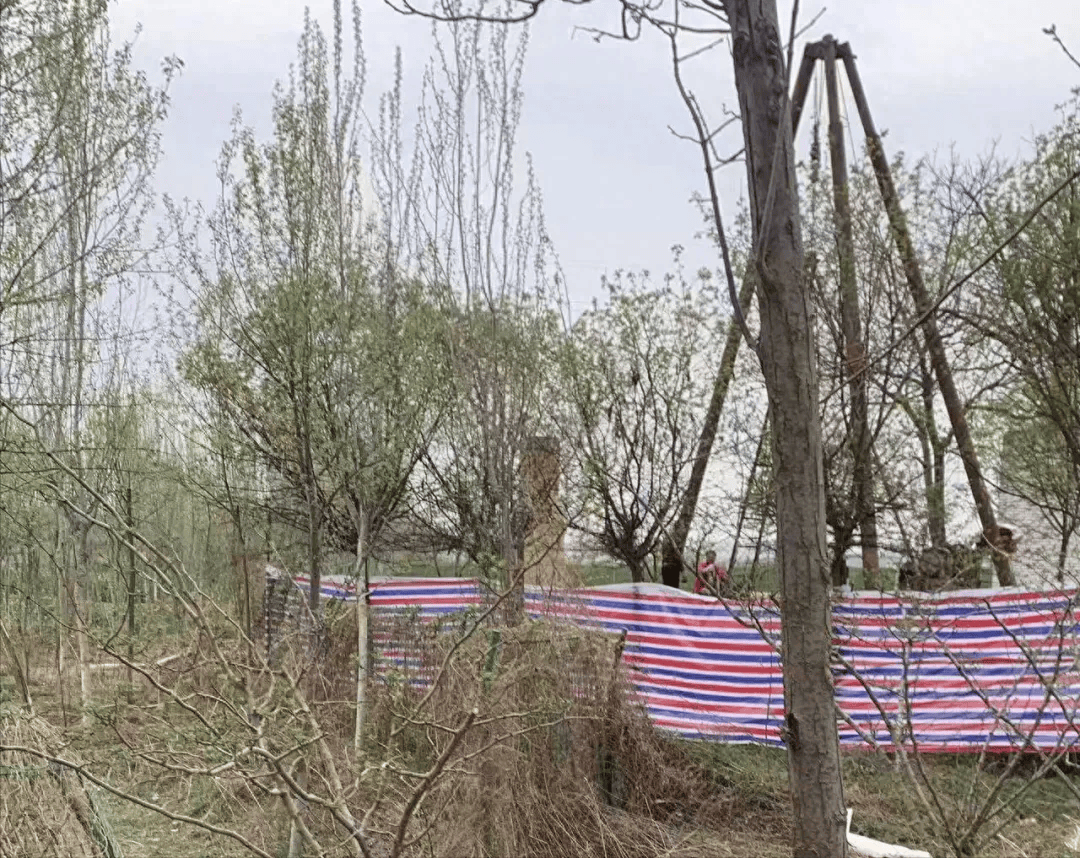 皇冠信用网怎么申请_陕西蒲城失踪24年女子确定遇害皇冠信用网怎么申请,嫌疑人未被批捕,家属发声