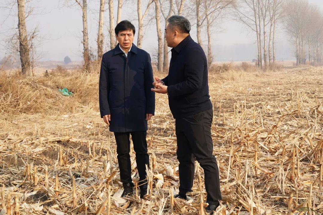 皇冠信用盘要押金吗 _厅长暗访哈尔滨市秸秆禁烧管控和综合利用工作