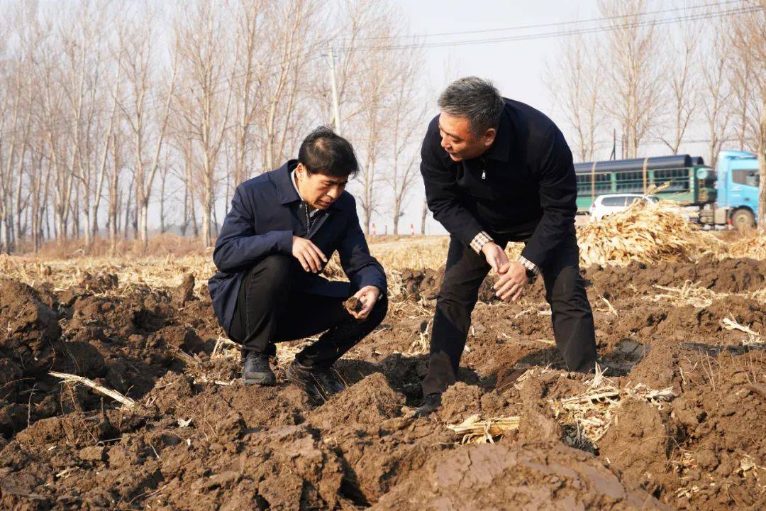 皇冠信用盘要押金吗 _厅长暗访哈尔滨市秸秆禁烧管控和综合利用工作