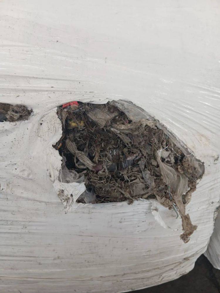 皇冠信用网去哪里弄_总重逾2600吨皇冠信用网去哪里弄!上海海关破获一起走私洋垃圾案