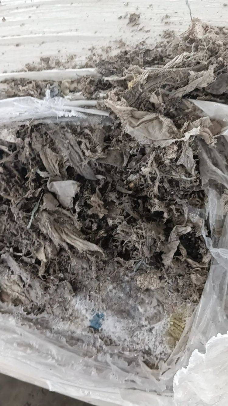 皇冠信用网去哪里弄_总重逾2600吨皇冠信用网去哪里弄!上海海关破获一起走私洋垃圾案