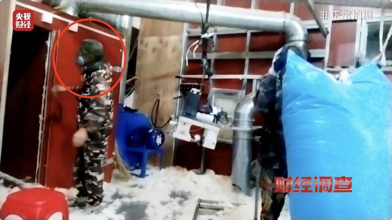 皇冠信用账号怎么开_以“丝”代“绒”皇冠信用账号怎么开,以次充好!央视《财经调查》揭开羽绒服里的骗局→