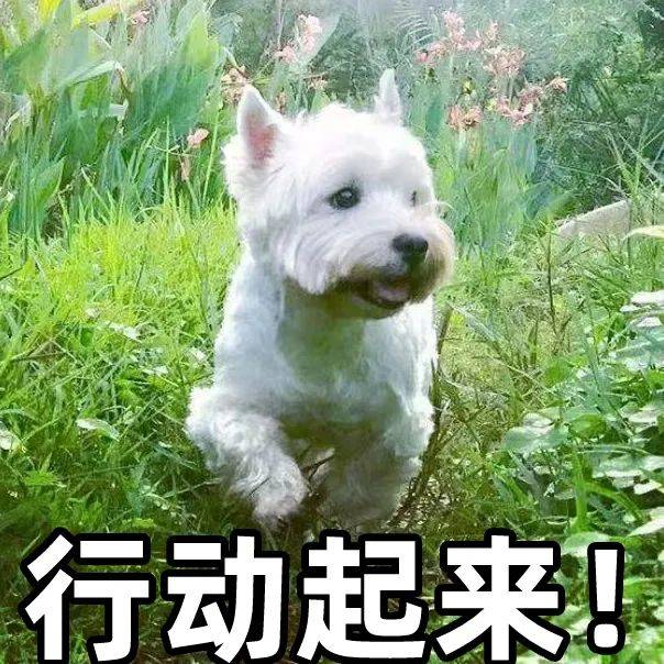 皇冠信用网需要押金吗_“不可思议!”行李箱遗落厦门出租车10天皇冠信用网需要押金吗,一条留言,5小时找回!