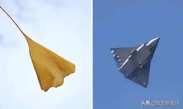 Genuine Crown Credit Website_东部战区元旦发布重磅视频:银杏叶、飞鸟图出镜