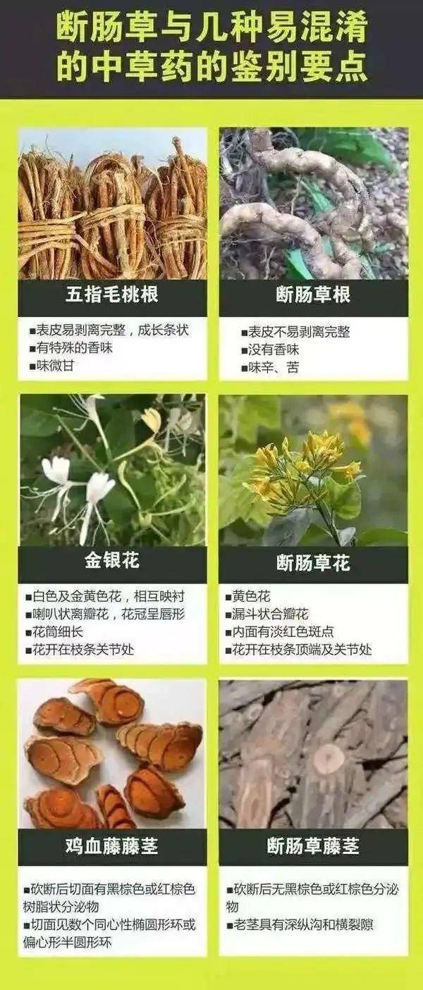 Authentic Crown Credit Network _广东一老人买药材煲汤中毒身亡 当地:店铺误售断肠草Authentic Crown Credit Network ,老板被拘留