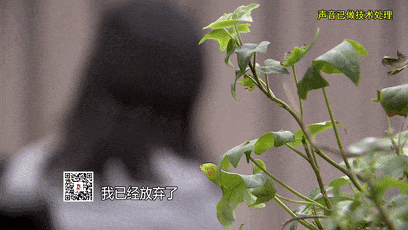 Crown Sports Registration _上海主妇在家遇害Crown Sports Registration ，终于破案！凶手竟假扮丈夫领导，看了《东方110》后慌了