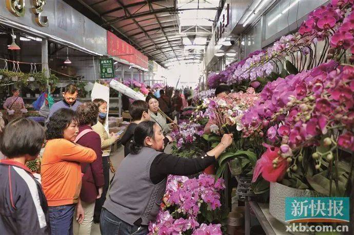 皇冠信用网代理_太火了皇冠信用网代理!广州有商家一天卖出平时一个月的花