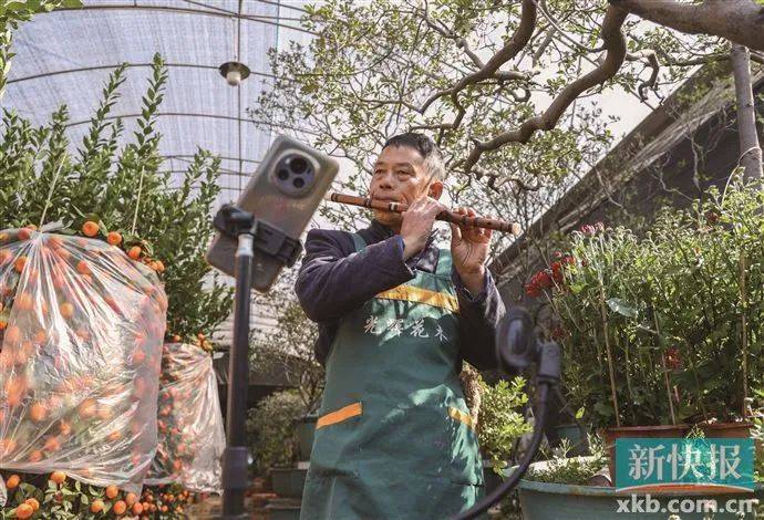 皇冠信用网代理_太火了皇冠信用网代理!广州有商家一天卖出平时一个月的花