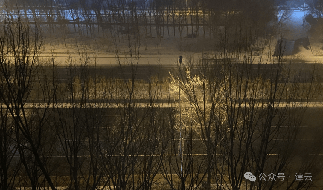 皇冠信用网登3代理申请_一觉醒来皇冠信用网登3代理申请,天津的雪来了!今日上班,早出门!