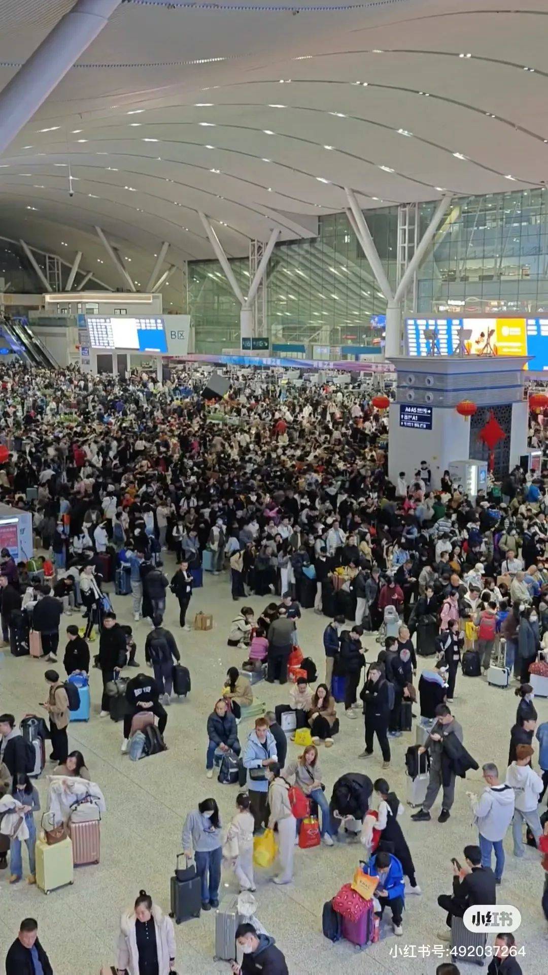 皇冠信用网开户_凌晨被挤爆皇冠信用网开户!深圳高铁站人人人人人!网友:一定要提前到!这些旅客注意