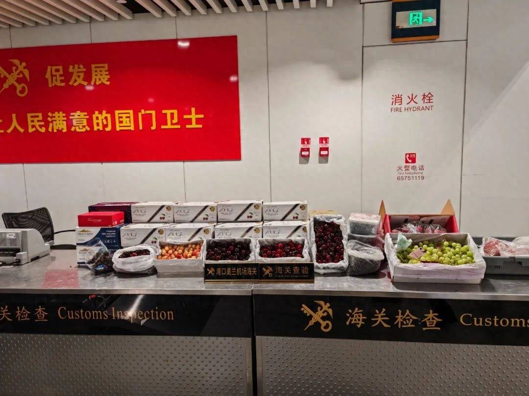 皇冠信用网代理注册_7名旅客携带超60千克车厘子皇冠信用网代理注册,25千克荔枝、蓝莓入境,被海关查获