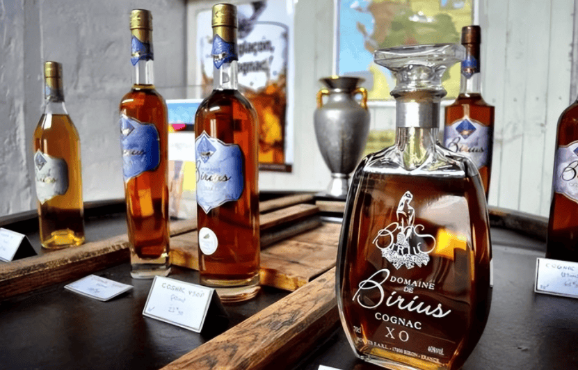 皇冠信用网会员开户申请_中方突然动手皇冠信用网会员开户申请,连夜叫停投资,俄罗斯低估了中国,中方的大手笔