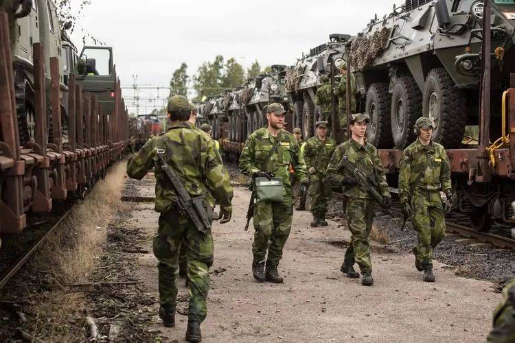 介绍个信用网址多少_第14国下场介绍个信用网址多少,大军直扑俄边境,俄军彻底不忍了,导弹炸死“大鱼”